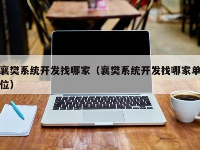 襄樊系统开发找哪家（襄樊系统开发找哪家单位）