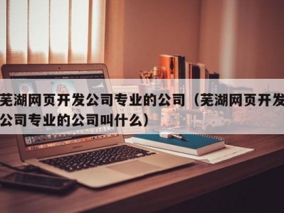 芜湖网页开发公司专业的公司（芜湖网页开发公司专业的公司叫什么）
