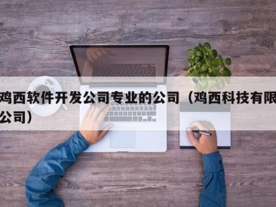 鸡西软件开发公司专业的公司（鸡西科技有限公司）