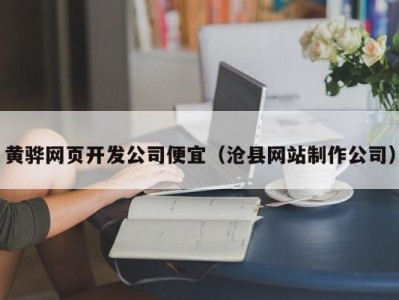 黄骅网页开发公司便宜（沧县网站制作公司）