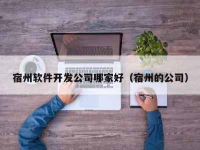 宿州软件开发公司哪家好（宿州的公司）