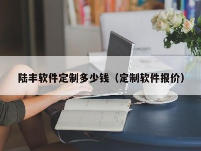陆丰软件定制多少钱（定制软件报价）