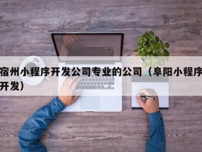 宿州小程序开发公司专业的公司（阜阳小程序开发）