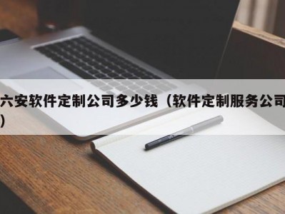 六安软件定制公司多少钱（软件定制服务公司）