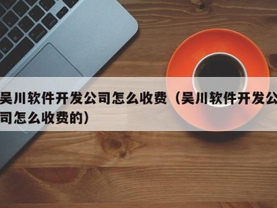 吴川软件开发公司怎么收费（吴川软件开发公司怎么收费的）