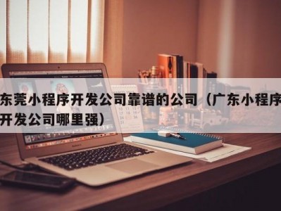 东莞小程序开发公司靠谱的公司（广东小程序开发公司哪里强）