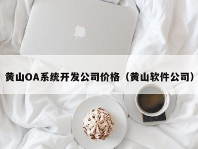 黄山OA系统开发公司价格（黄山软件公司）