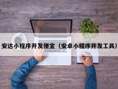 安达小程序开发便宜（安卓小程序开发工具）