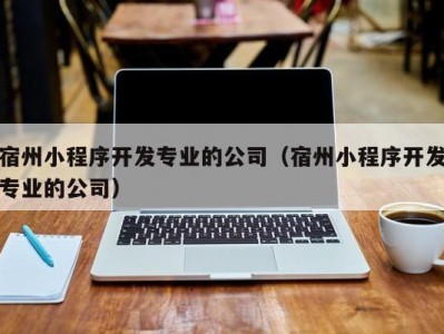 宿州小程序开发专业的公司（宿州小程序开发专业的公司）