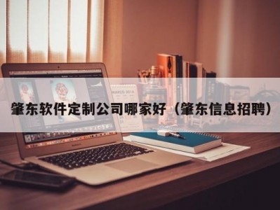 肇东软件定制公司哪家好（肇东信息招聘）