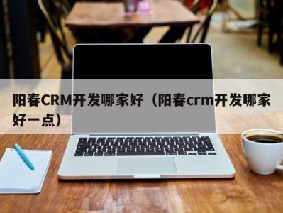 阳春CRM开发哪家好（阳春crm开发哪家好一点）