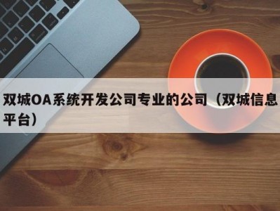 双城OA系统开发公司专业的公司（双城信息平台）
