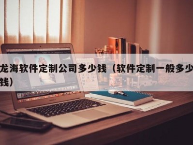 龙海软件定制公司多少钱（软件定制一般多少钱）