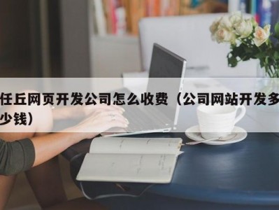 任丘网页开发公司怎么收费（公司网站开发多少钱）